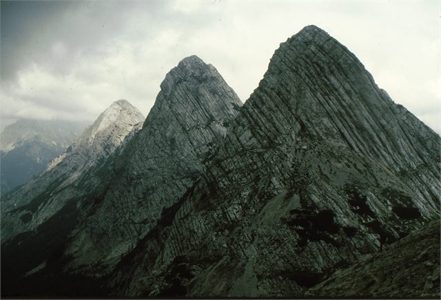 tři kopy